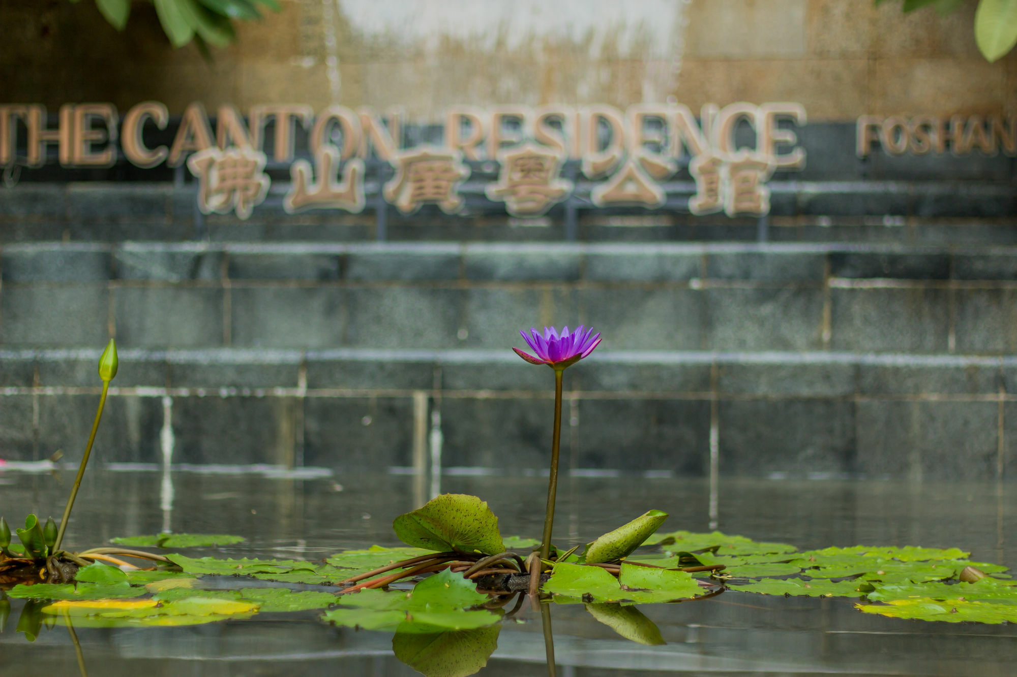 The Canton Residence 포산 시 외부 사진